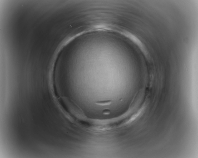 X0000088631373200706011137