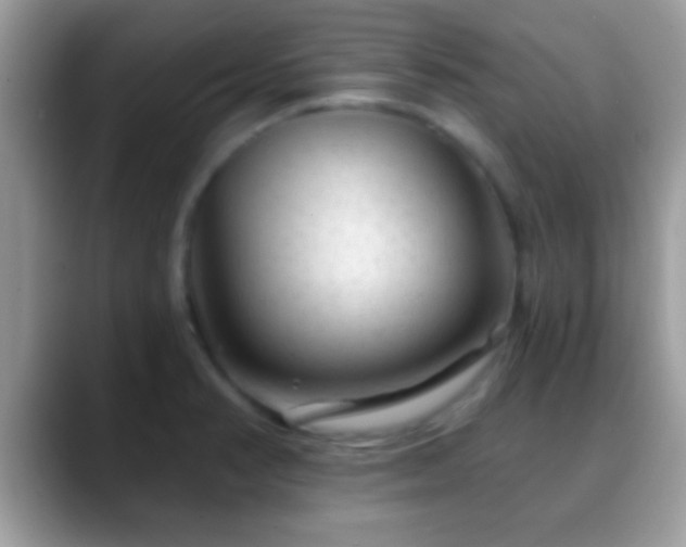 X0000088631374200706011137