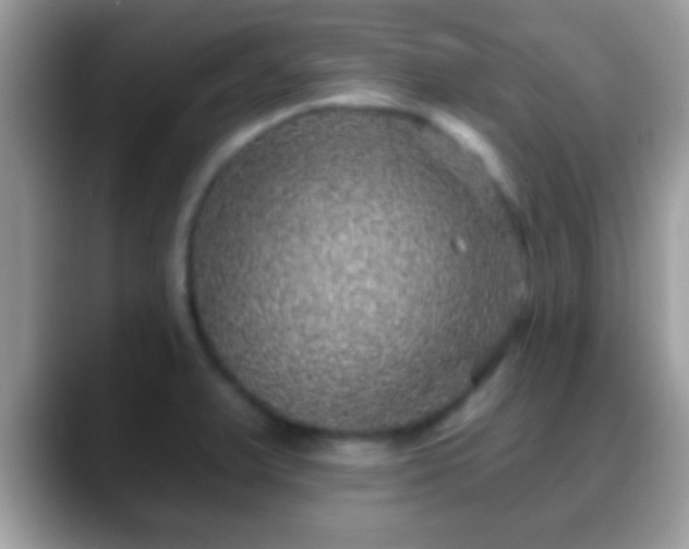 X0000088631375200706011137