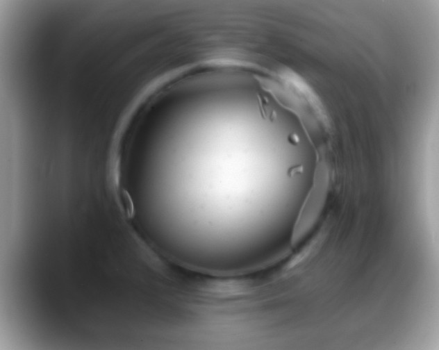 X0000088631376200706011137