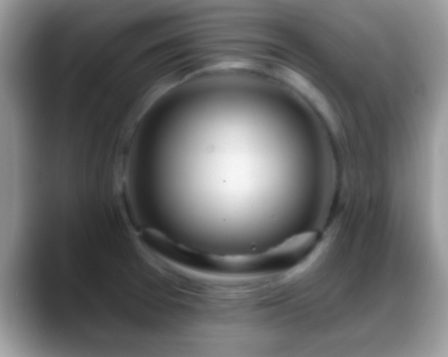 X0000088631377200706011137