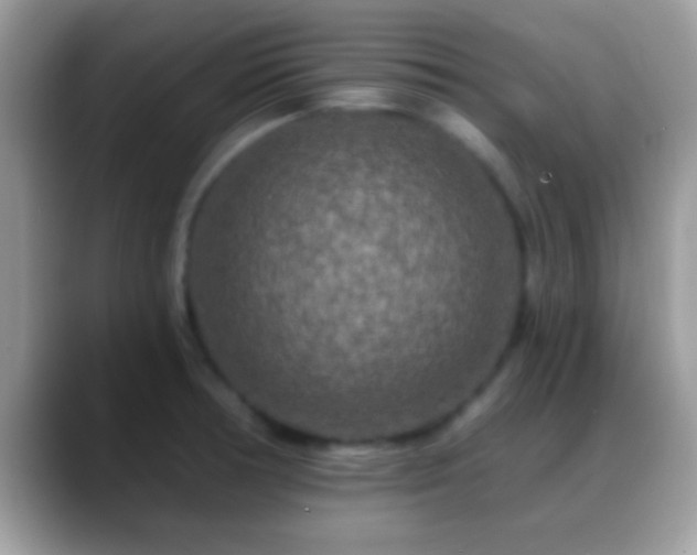 X0000088631378200706011137