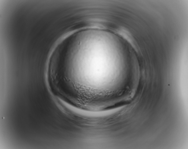 X0000088631379200706011137