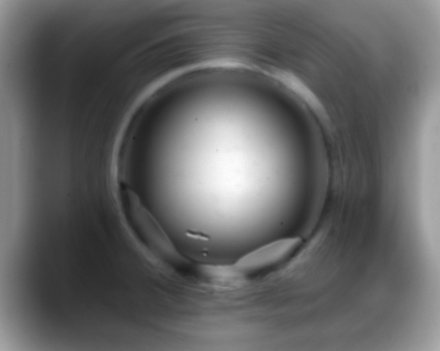 X0000088631380200706011137