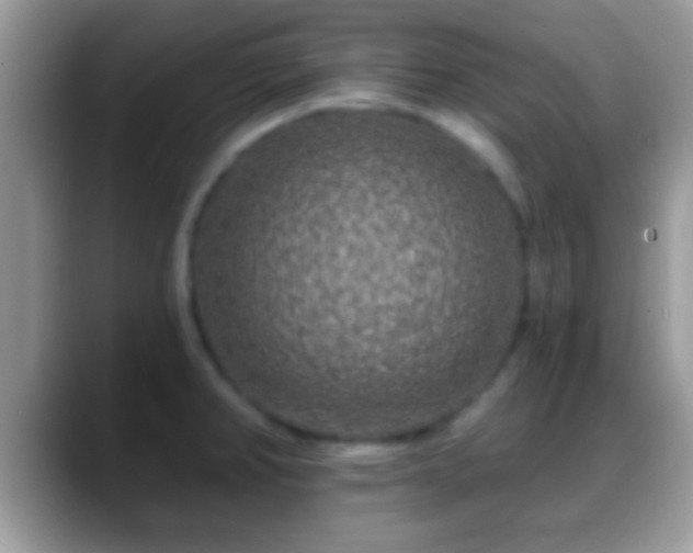 X0000088631382200706011137