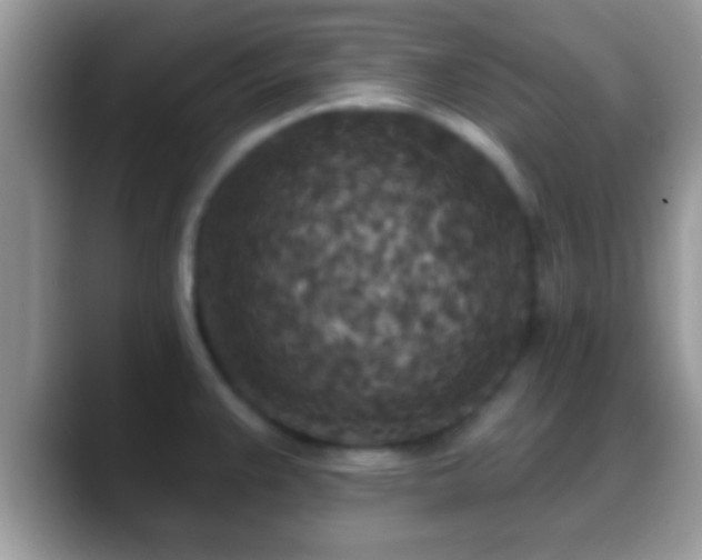 X0000088631383200706011137