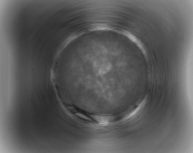 X0000088631385200706011137