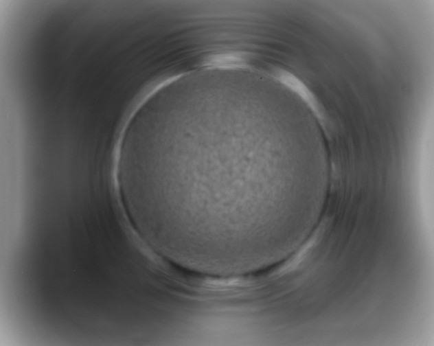 X0000088631386200706011137