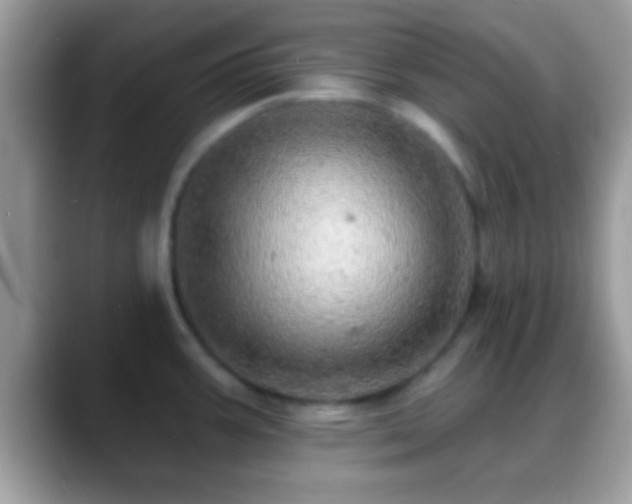 X0000088631387200706011137