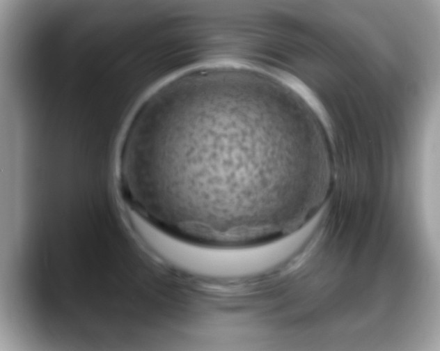 X0000088631388200706011137