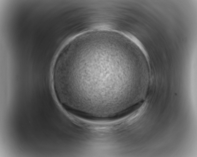 X0000088631389200706011137