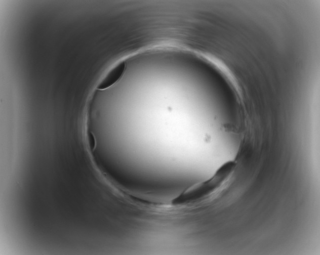 X0000088631390200706011137