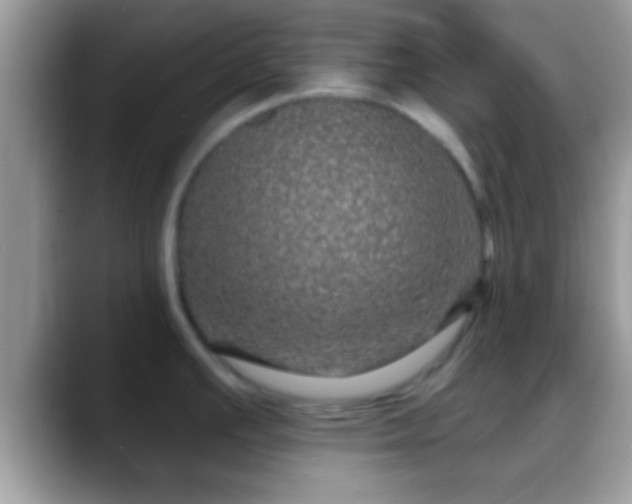 X0000088631391200706011137