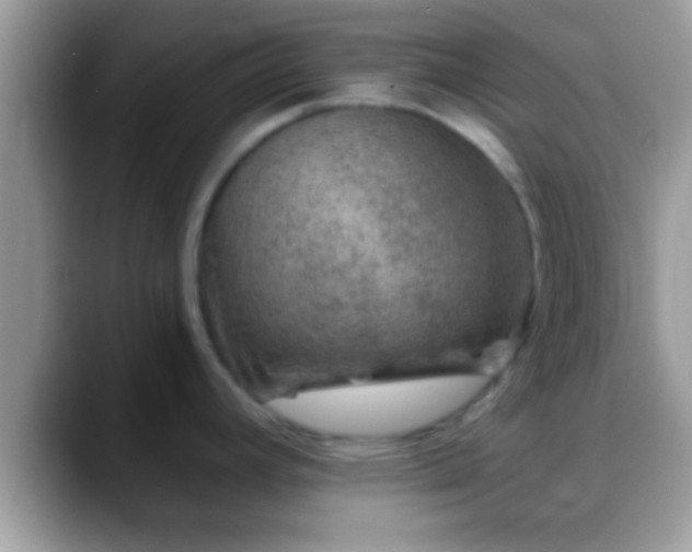 X0000088631392200706011137