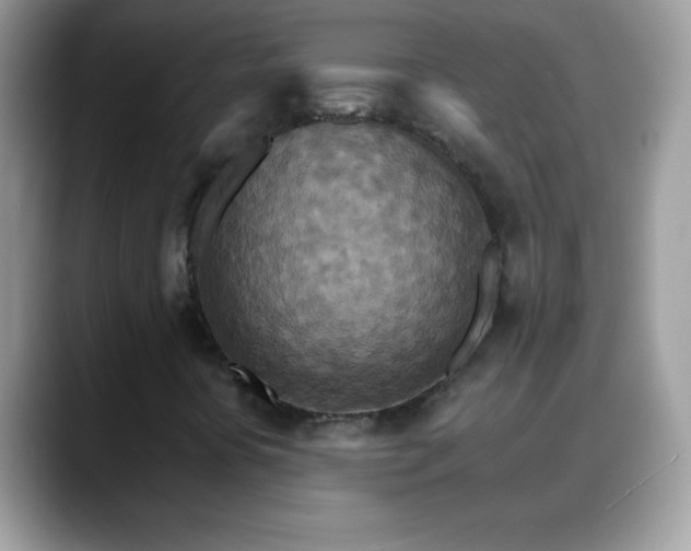 X0000088631394200706011136