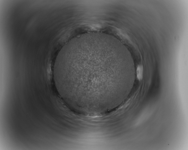 X0000088631395200706011136