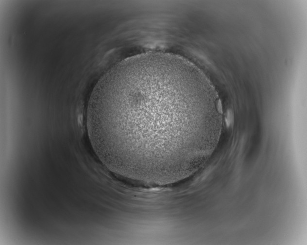 X0000088631396200706011136