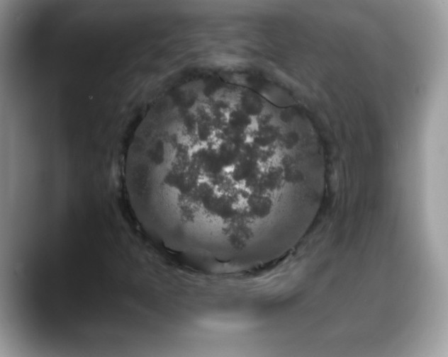 X0000088631397200706011136