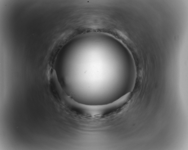 X0000088631398200706011136