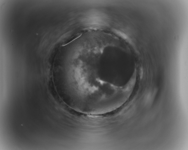 X0000088631399200706011136