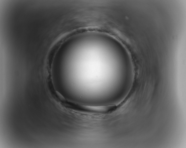 X0000088631400200706011136