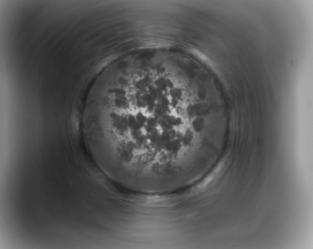 X0000088631401200706011136