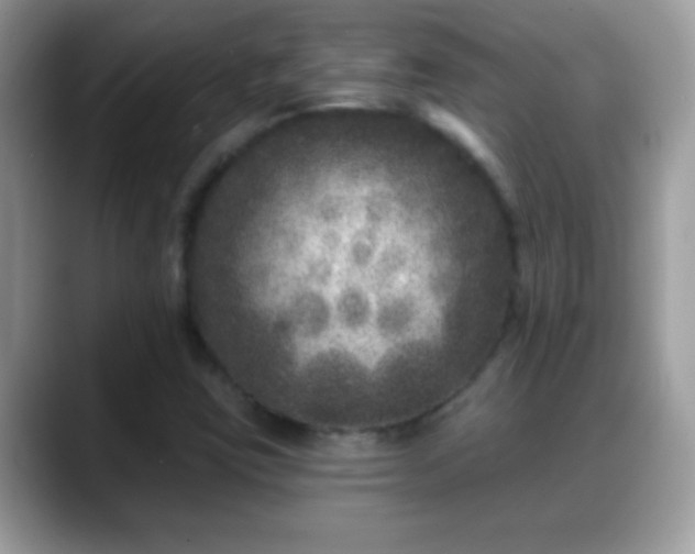 X0000088631403200706011136