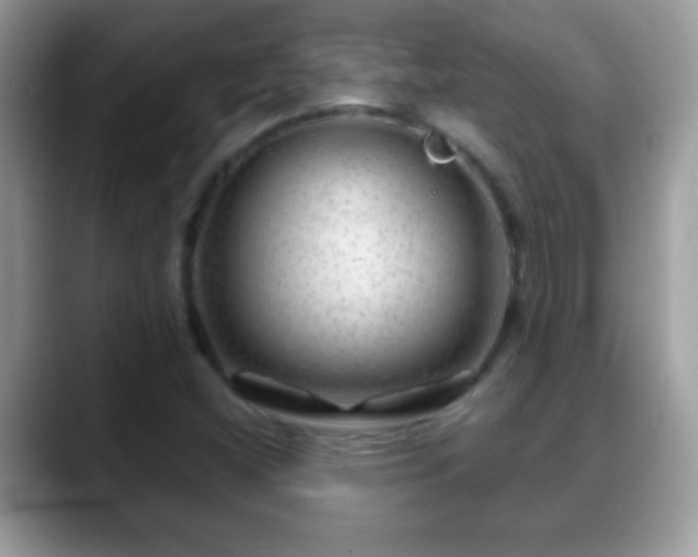 X0000088631404200706011136