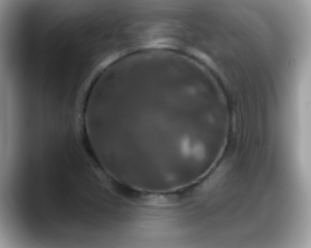 X0000088631405200706011136