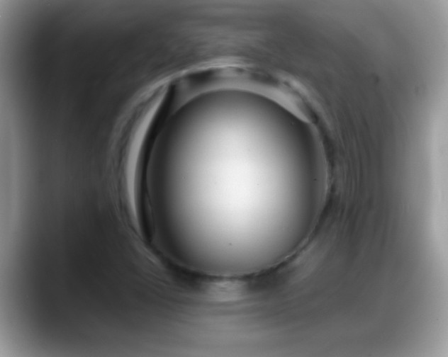 X0000088631406200706011136