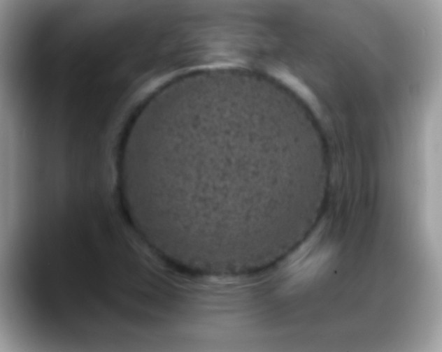 X0000088631407200706011136