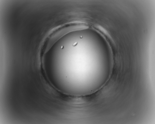 X0000088631408200706011136