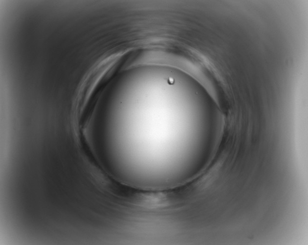 X0000088631410200706011136