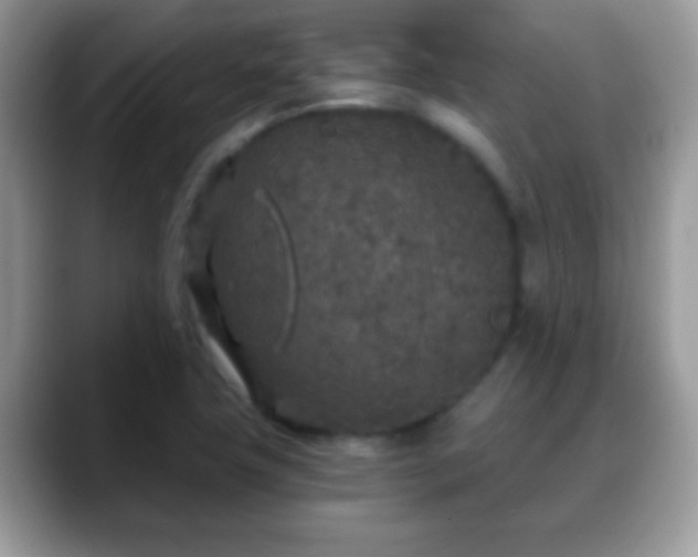 X0000088631411200706011136