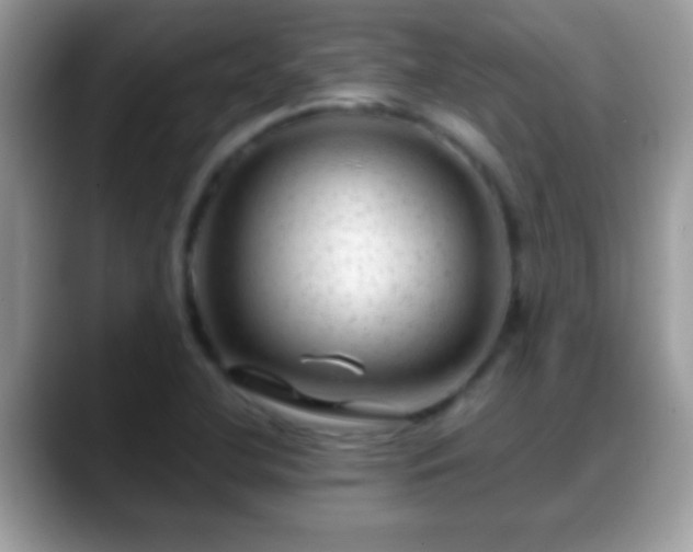 X0000088631412200706011136