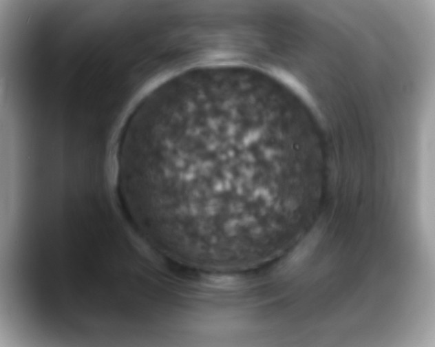 X0000088631413200706011136