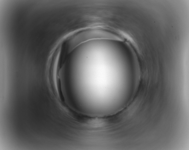 X0000088631414200706011136