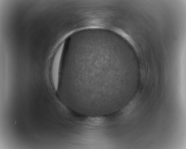 X0000088631415200706011136