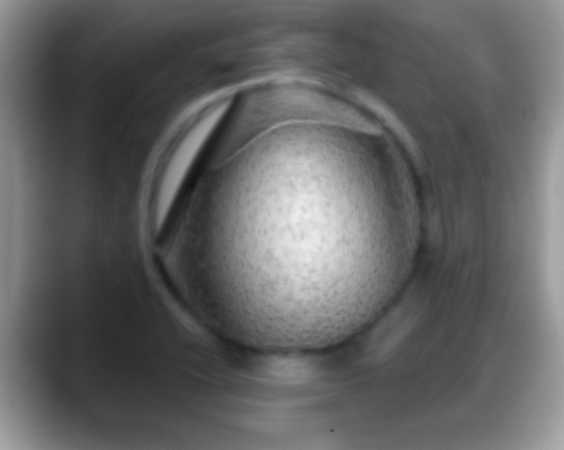 X0000088631416200706011136