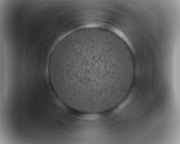 X0000088631417200706011136