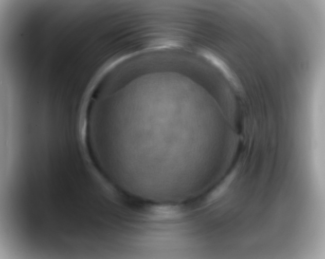 X0000088631418200706011136