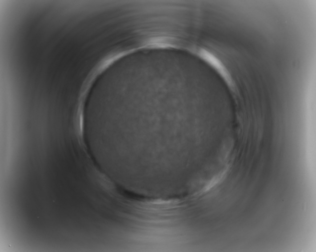 X0000088631419200706011136