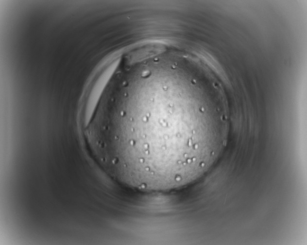 X0000088631420200706011136