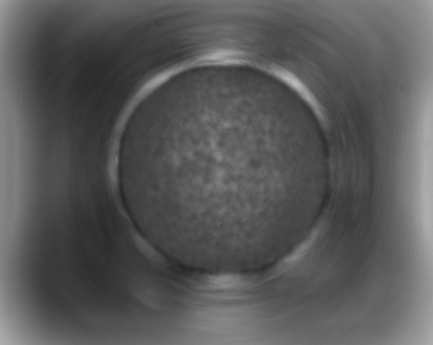 X0000088631421200706011136