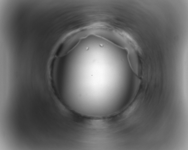 X0000088631422200706011136