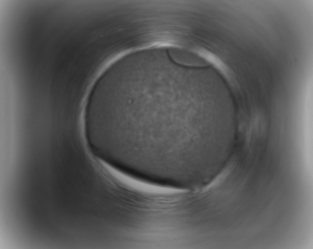 X0000088631423200706011136