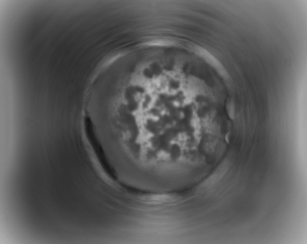 X0000088631425200706011136