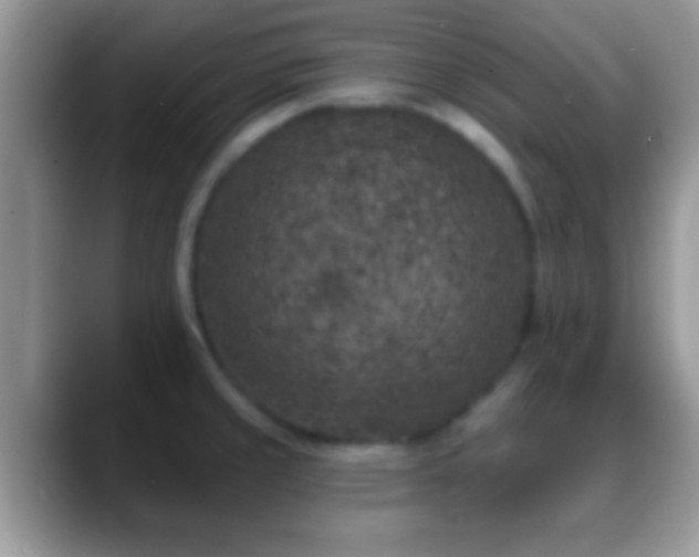 X0000088631429200706011137