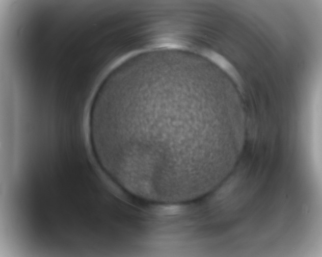 X0000088631431200706011137