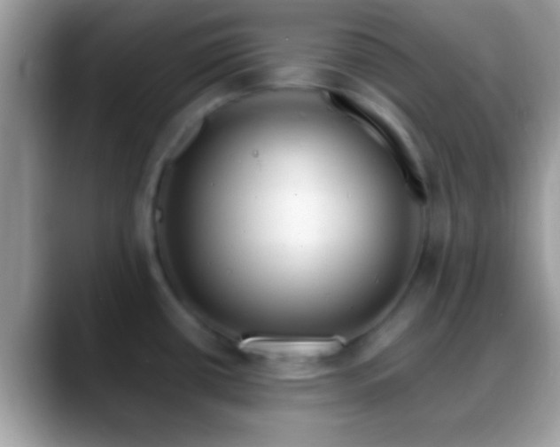 X0000088631434200706011137